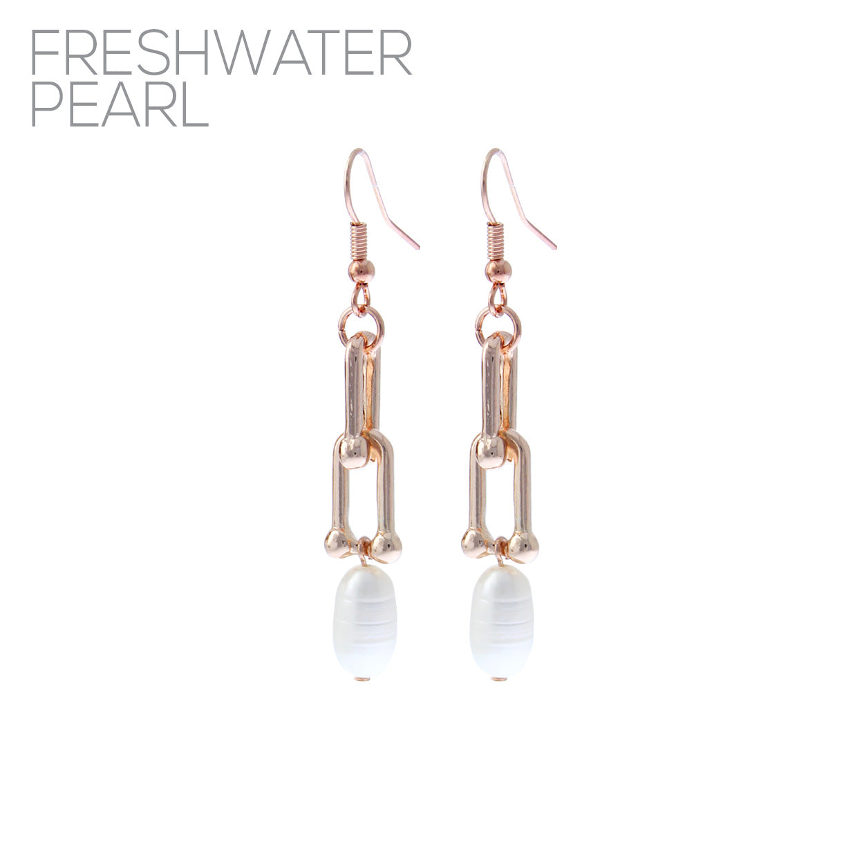E1531 27275 Drop Dangle Hook Earrings