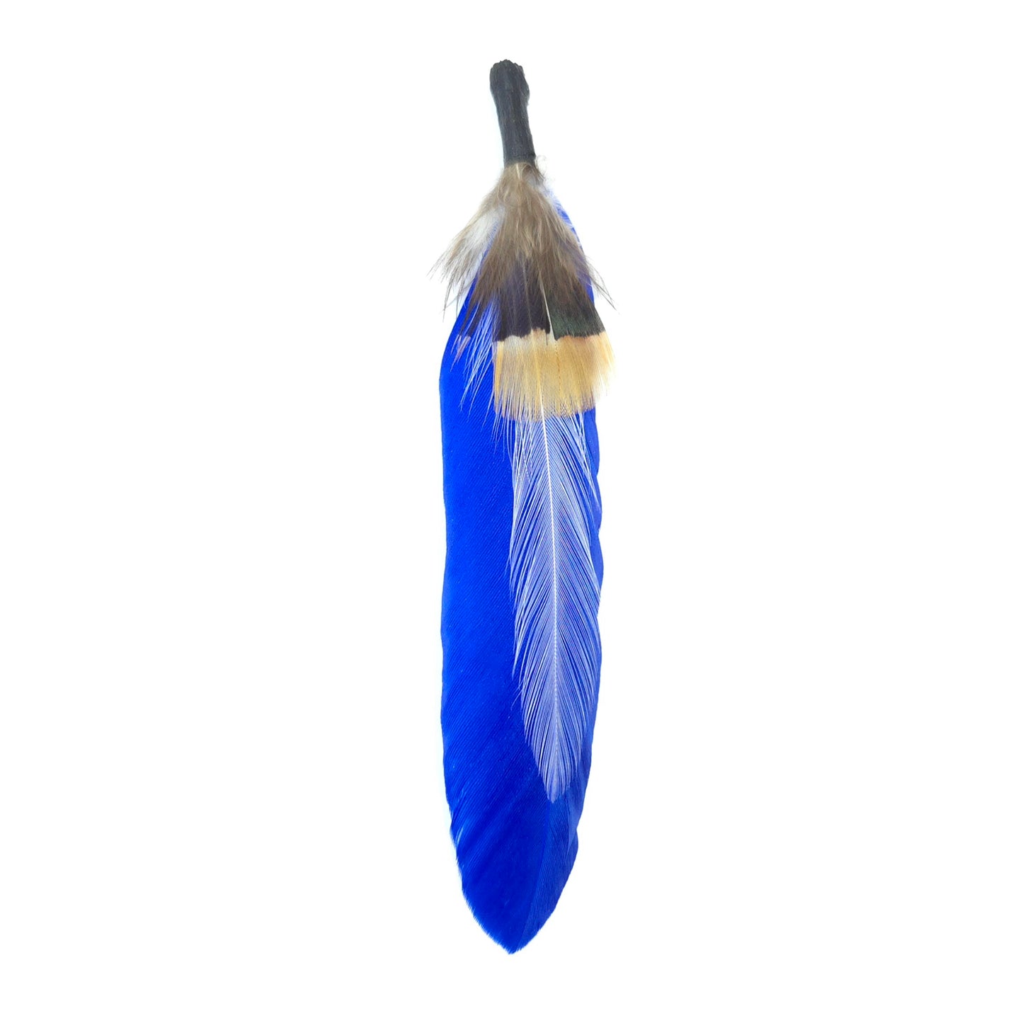 HT0077 GH1214 FEATHER