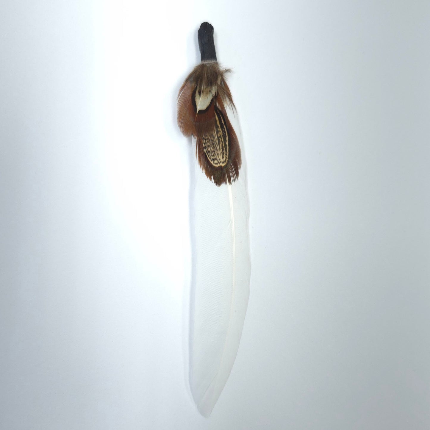 HT0077 GH1214 FEATHER