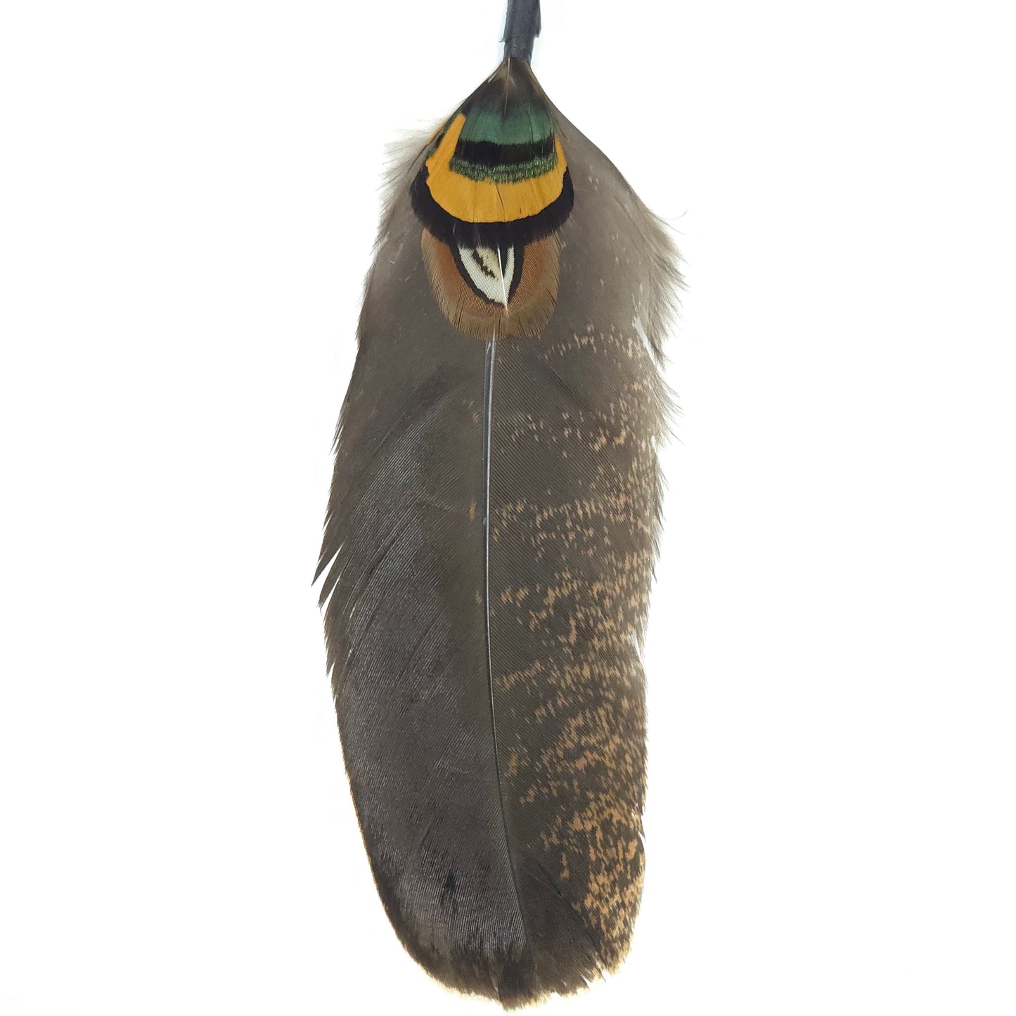 HT0081 GH1218 FEATHER