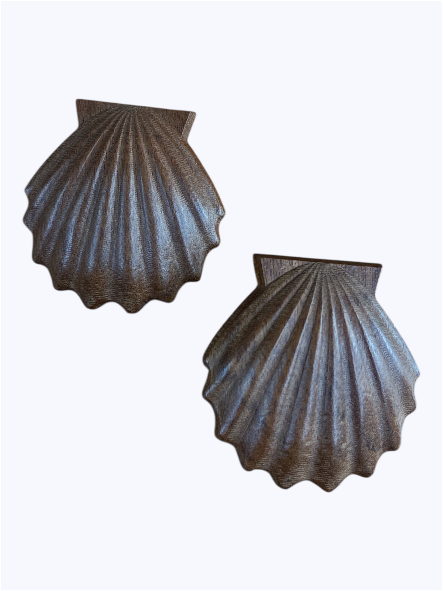 E1641 | Medium Shell Post Earrings |83E2491