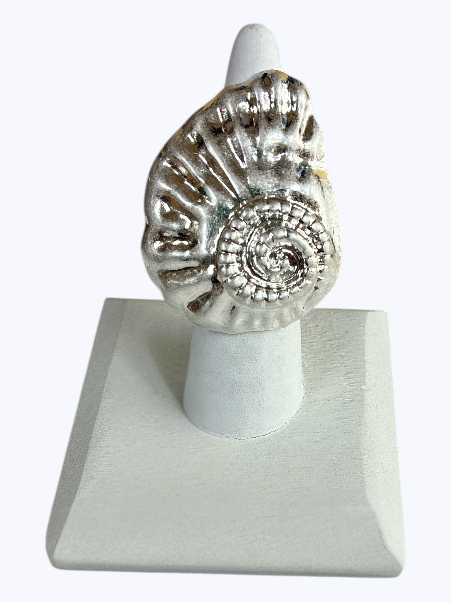 R0091 | Matte Shell Stretch Ring | RG26108
