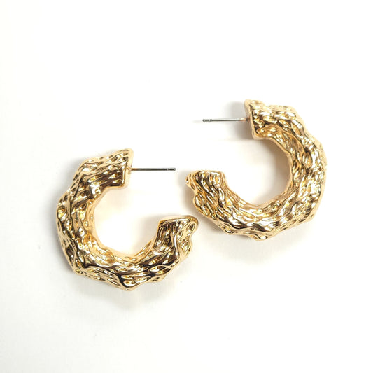 E1497 TE1318 Hoop Earrings
