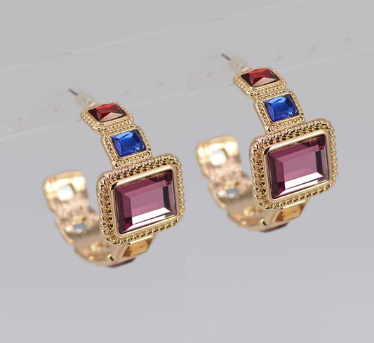 E1637 25E6138 Hoop Earrings