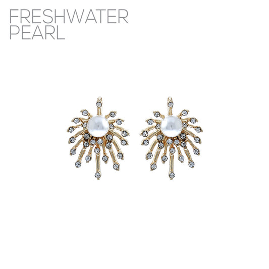 E1506 27313 Stud Style Post Earrings