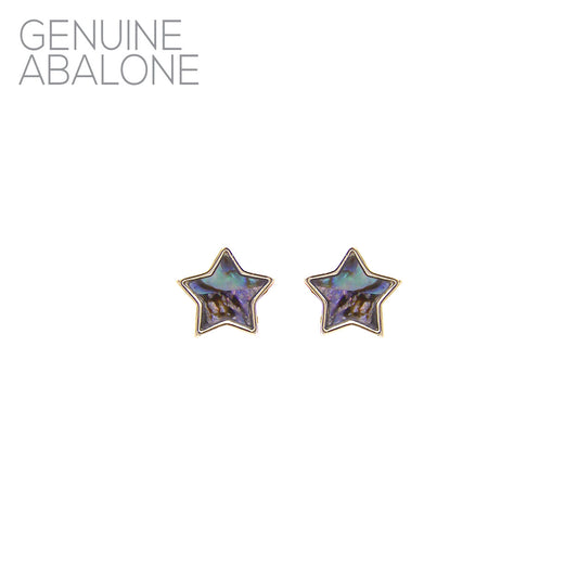 E1499 27515 STAR Stud Post Earrings