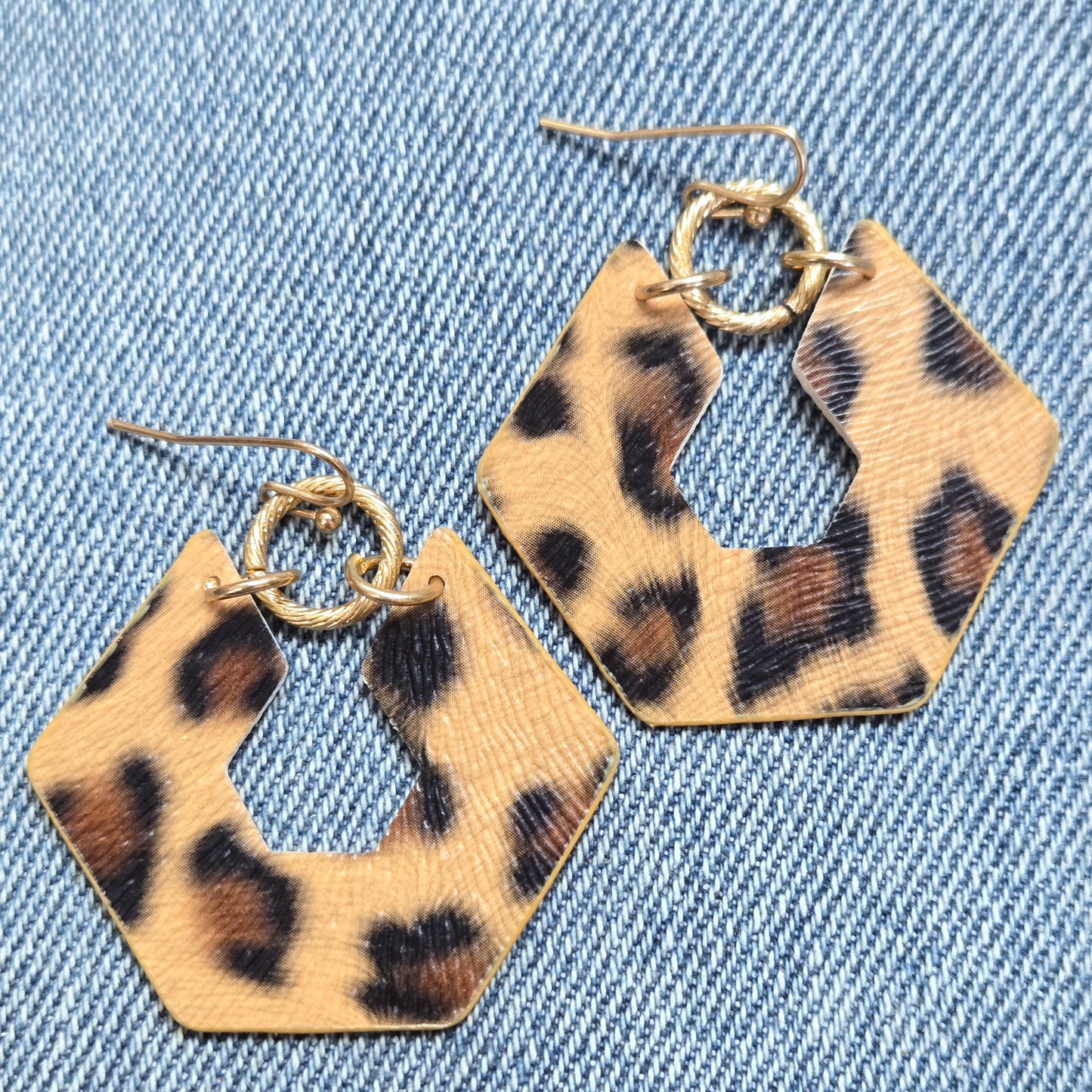 E1366 AE4927 Drop Dangle Hook Earrings