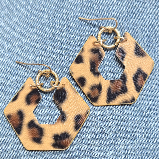E1366 AE4927 Drop Dangle Hook Earrings