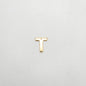 Gold letter 'T' charm on a light gray background