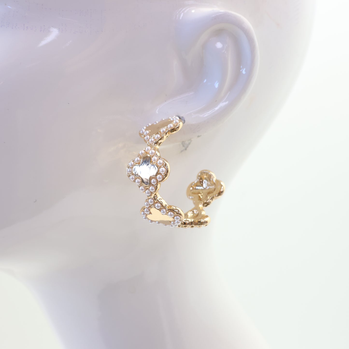E0024 | Crystal Accent Earrings | 25E5089