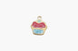 C0005 GC1109 Mini Charms