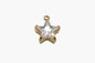 C0006 GC1110 Mini Charms