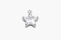 C0006 GC1110 Mini Charms