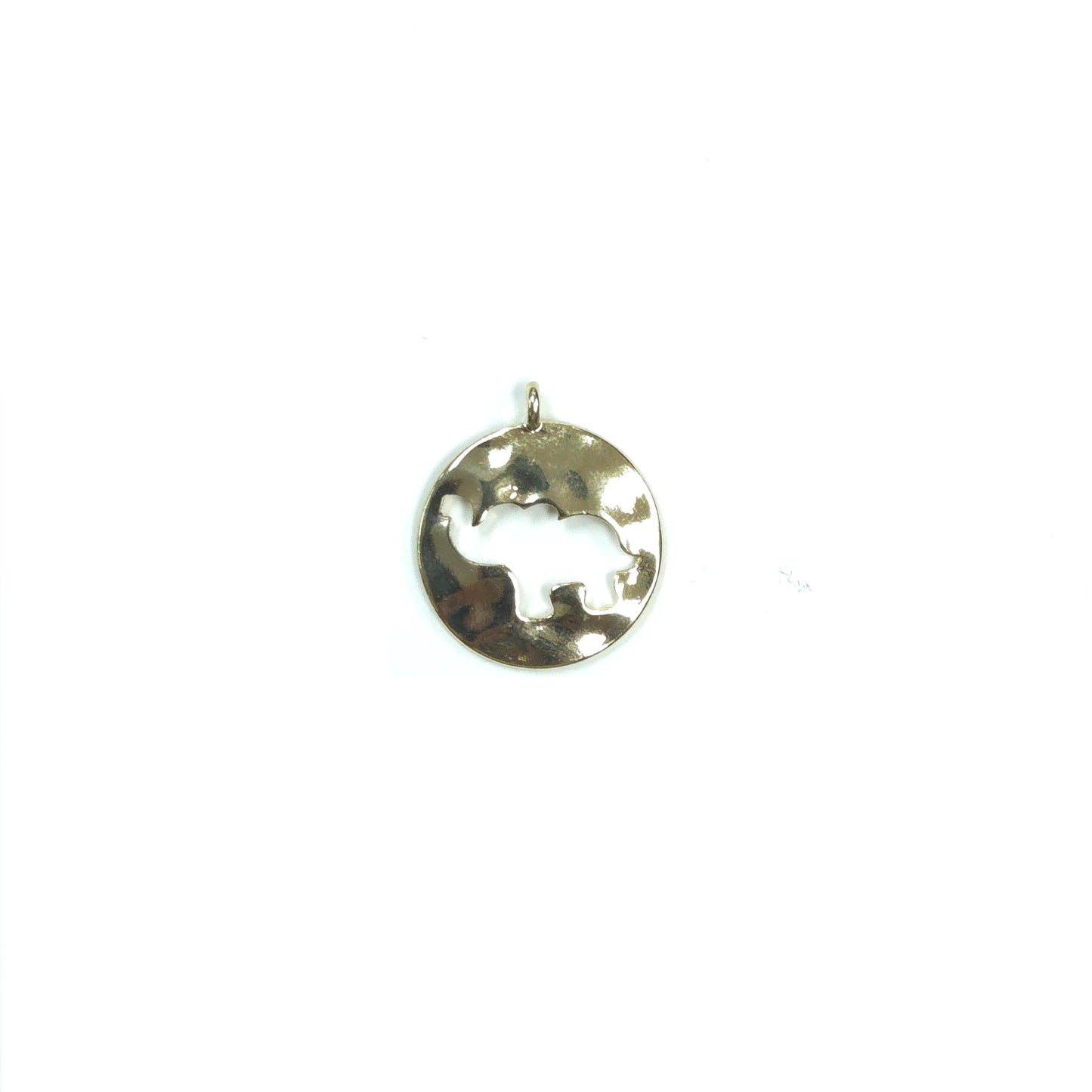 C0020 GC1123 CHARMS