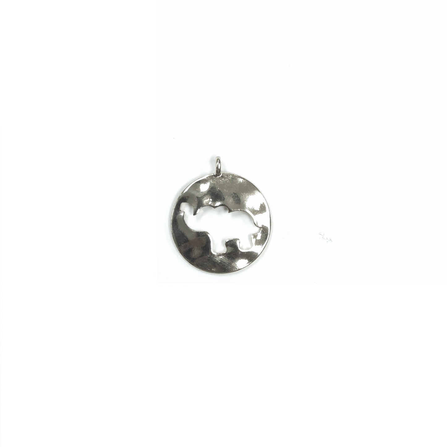 C0020 GC1123 CHARMS