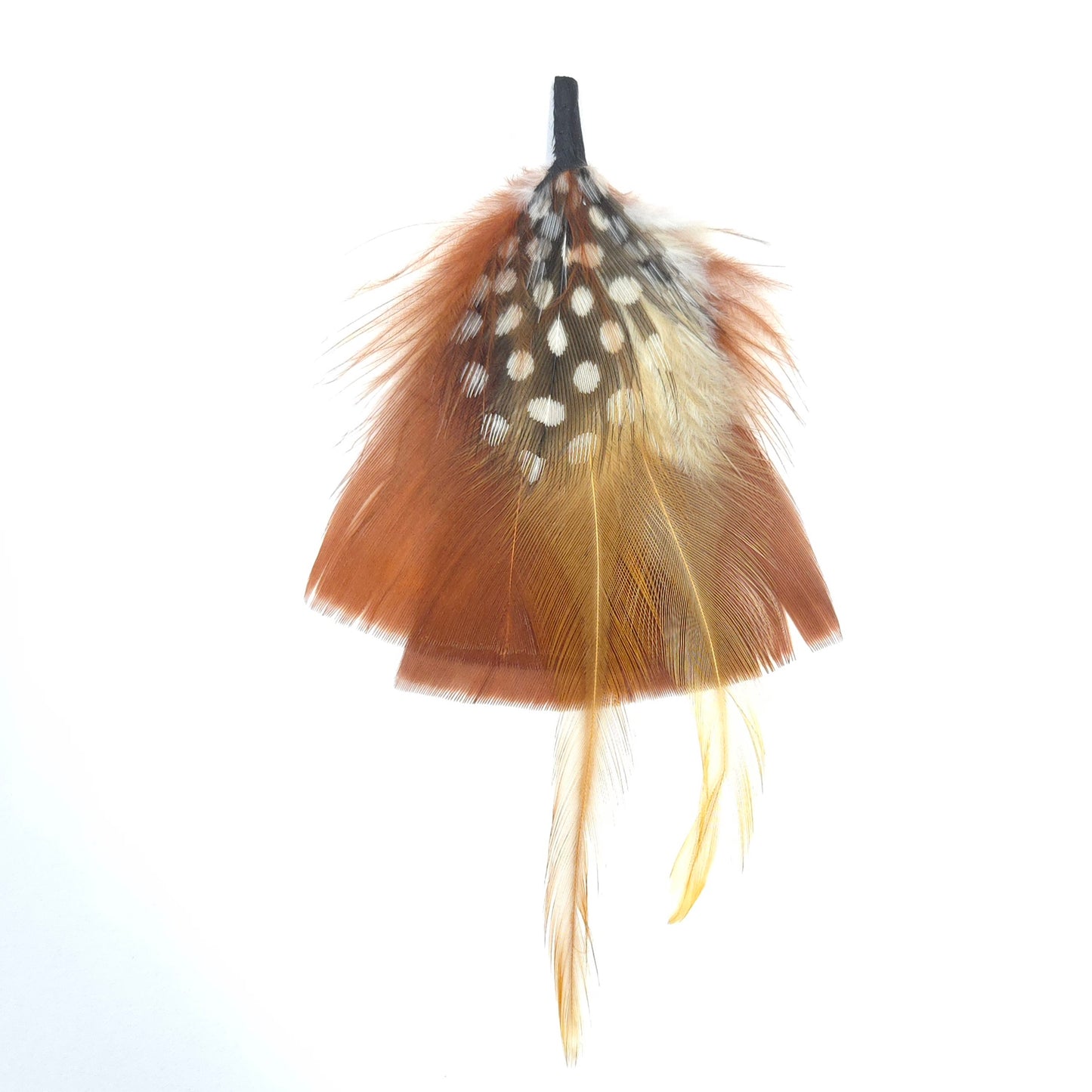 HT0075 GH1212 FEATHER