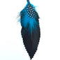 HT0076 GH1213 FEATHER