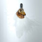 HT0078 GH1215 FEATHER