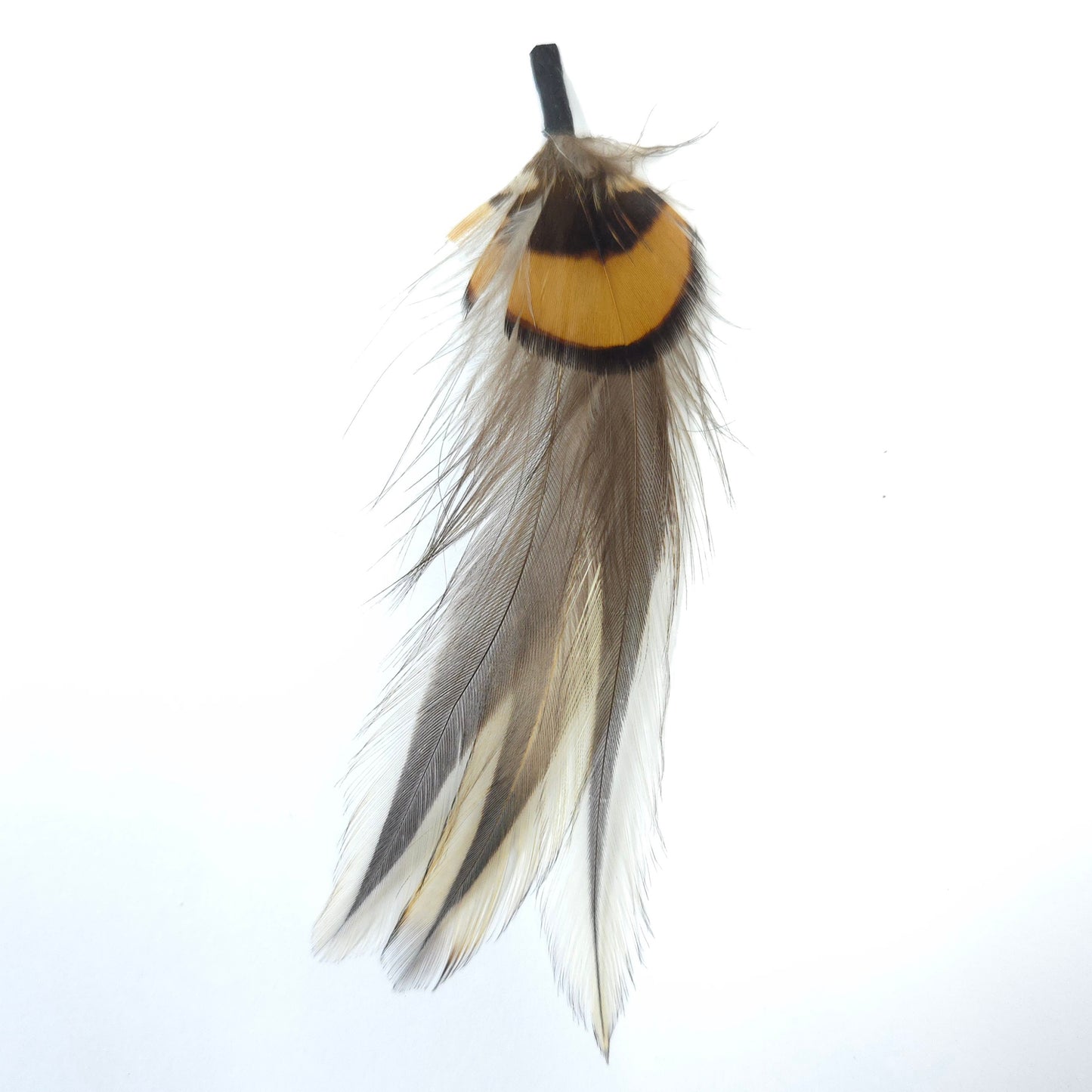 HT0079 GH1216 FEATHER