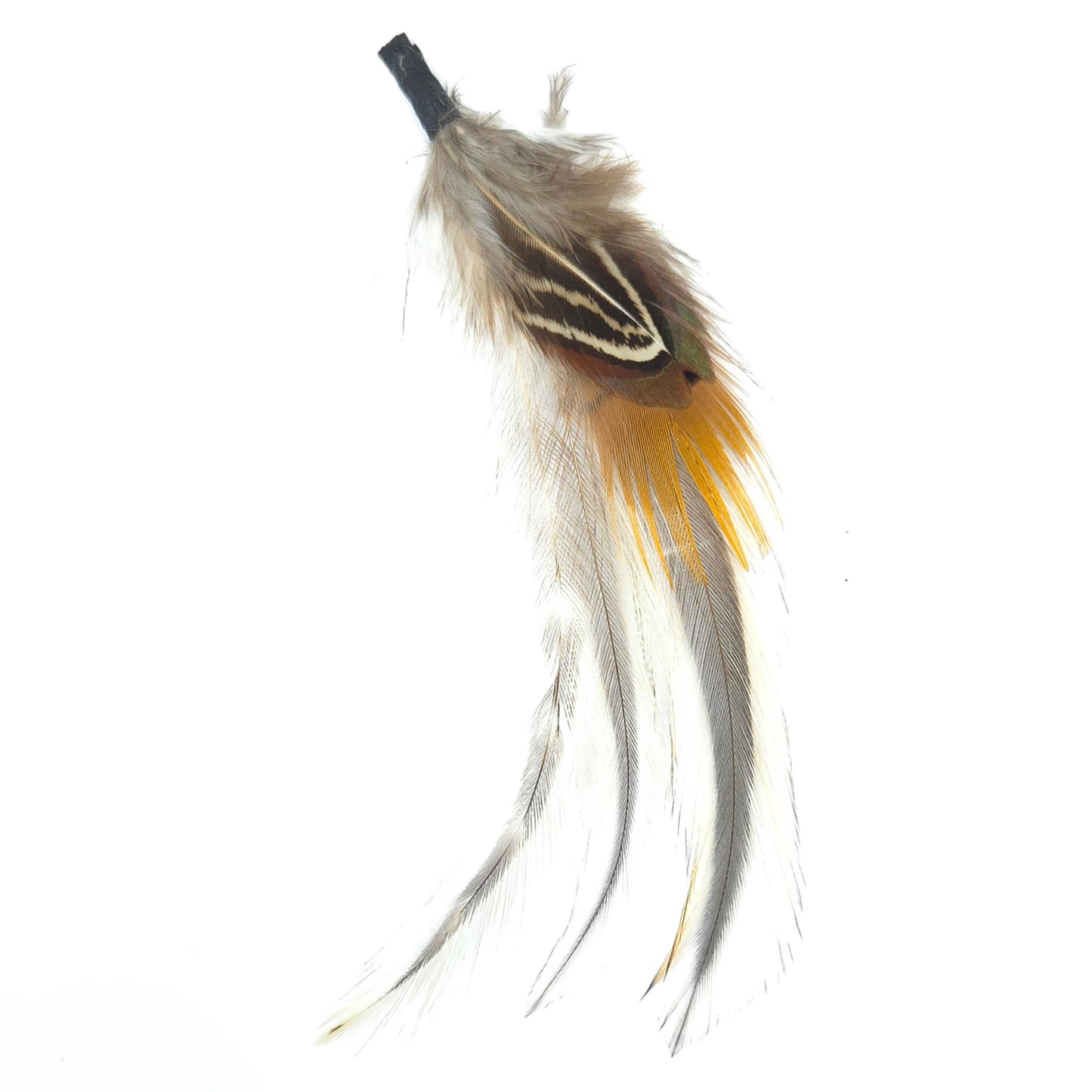 HT0079 GH1216 FEATHER