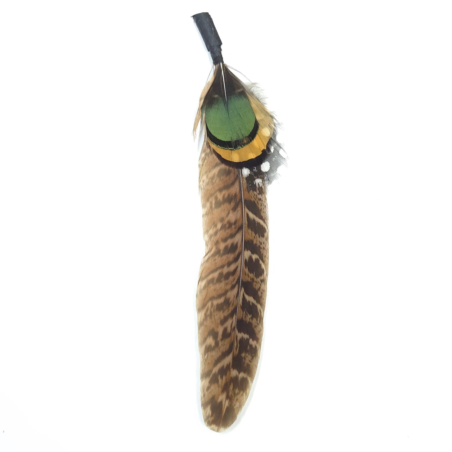HT0081 GH1218 FEATHER