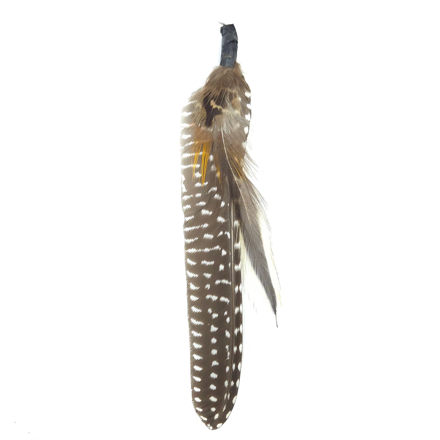 HT0081 GH1218 FEATHER