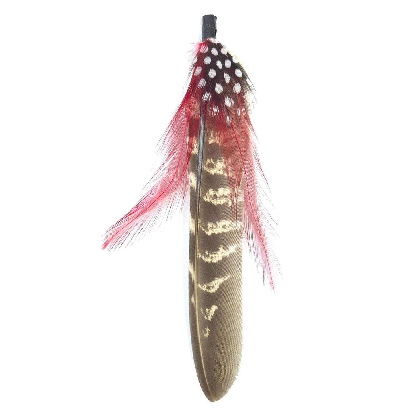 HT0082 GH1219 FEATHER