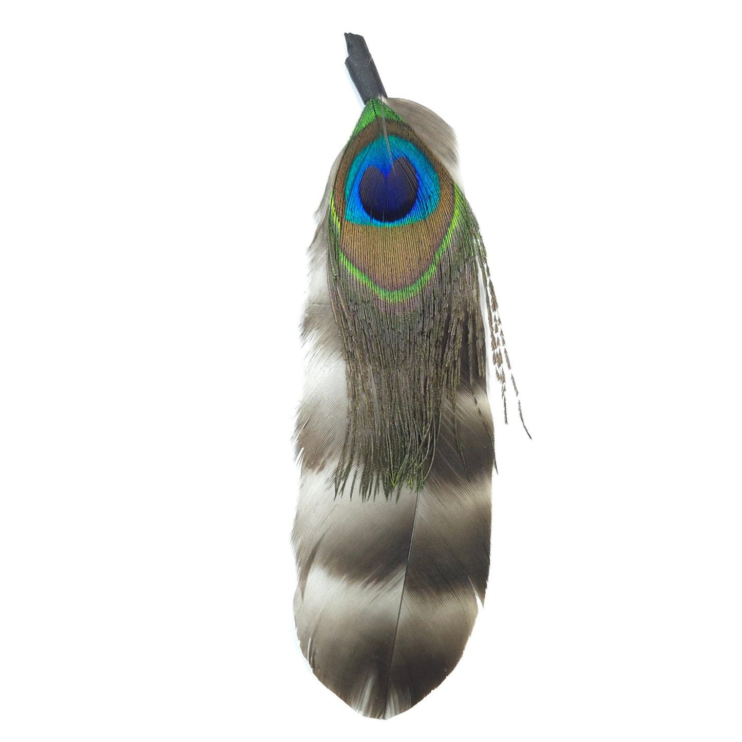 HT0083 GH1220 FEATHER