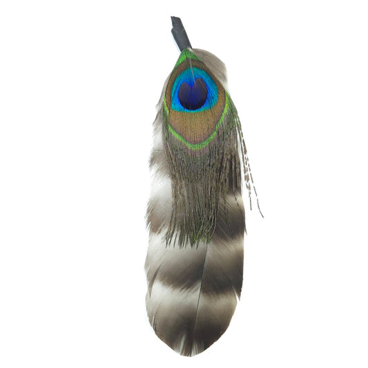 HT0083 GH1220 FEATHER
