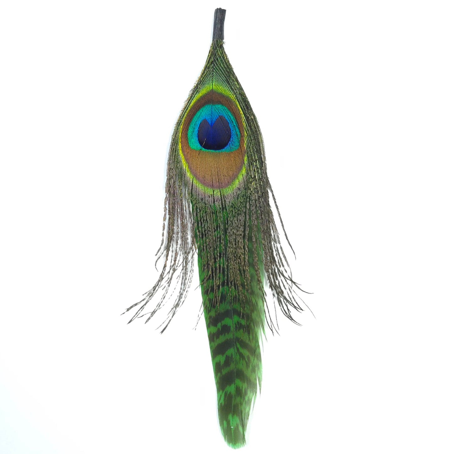 HT0083 GH1220 FEATHER