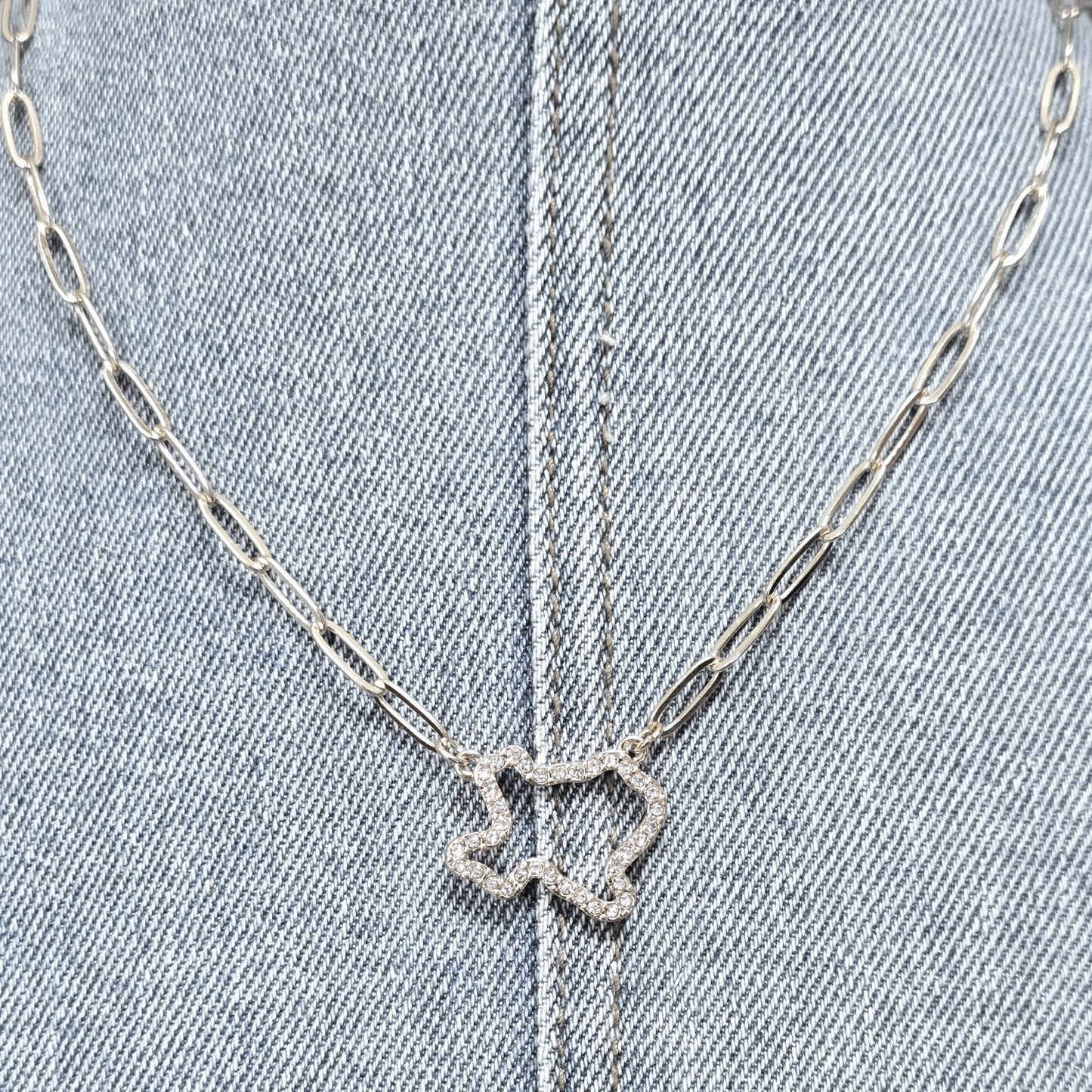 N0548 HN4765 Texas Pendant Necklace