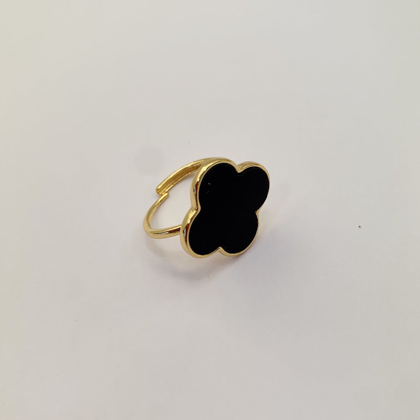 R0019 PR2901