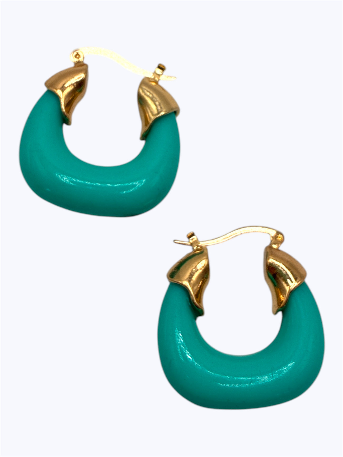 E2364 | Acrylic Hoop Earrings | ER2666