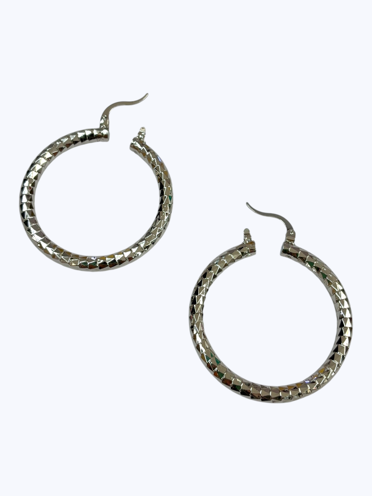 Textured Timeless Hoop Earrings | E2573