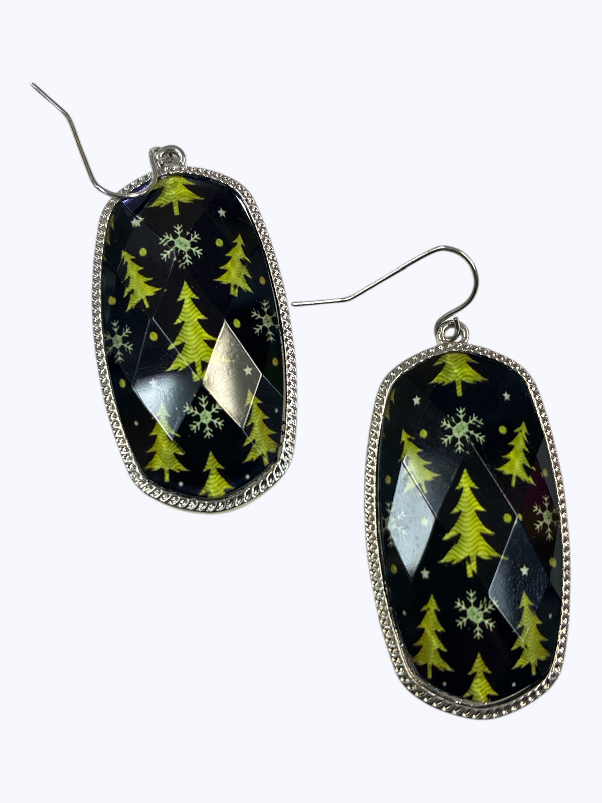 Winter Wonderland Oval Earrings | E1625