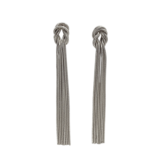 Pair of silver tassel earrings on a white background