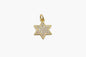 Gold star-shaped pendant with embedded stones on a white background